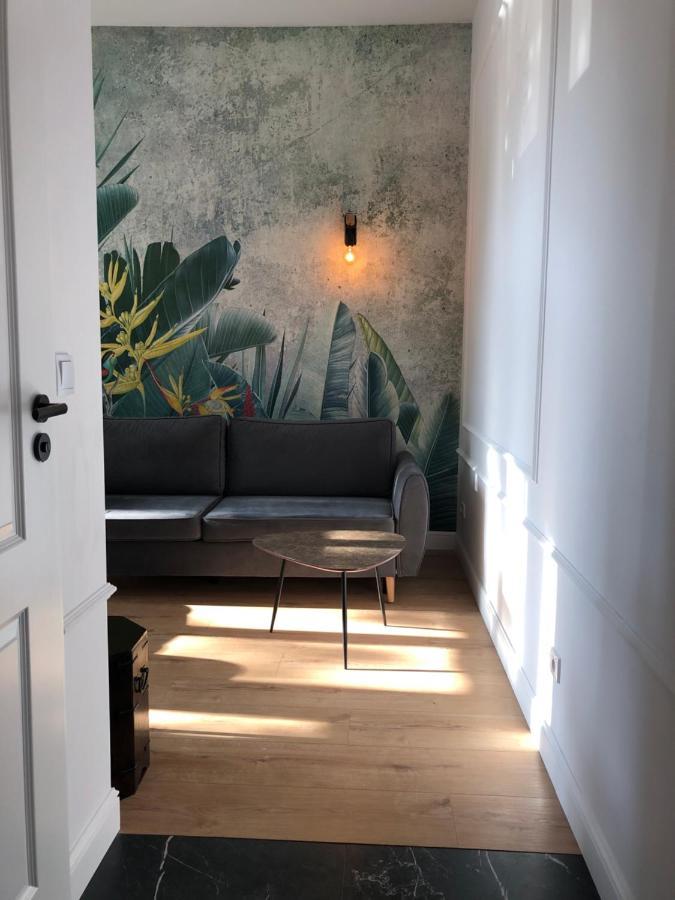 Ara I Apartment Torun